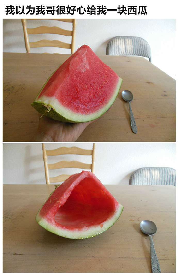 国外网友分享的搞笑邪恶趣图:那些年,超级烦人的兄弟姐妹们插图 国外网友分享的搞笑邪恶趣图:那些年,超级烦人的兄弟姐妹们插图