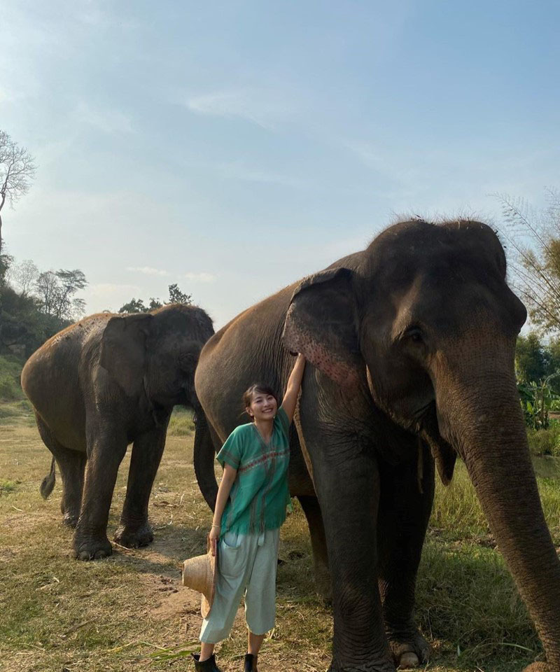 中国版新垣结衣「龙梦柔」爽朗甜笑神复制本尊 萌到连巨兽都被收服插图10 中国版新垣结衣「龙梦柔」爽朗甜笑神复制本尊 萌到连巨兽都被收服插图10