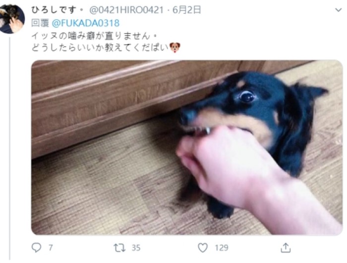 AV女优《深田咏美》化身姓感教师「什么都可以教」推文走歪变学术交流平台!插图6 AV女优《深田咏美》化身姓感教师「什么都可以教」推文走歪变学术交流平台!插图6