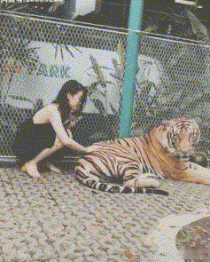 爆笑GIF图:小解解,在那个酒吧,我现在就过去 !插图2 爆笑GIF图:小解解,在那个酒吧,我现在就过去 !插图2