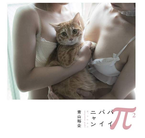 青山裕企《猫咪与欧派写真书》好想当那只猫~好想好想插图 青山裕企《猫咪与欧派写真书》好想当那只猫~好想好想插图