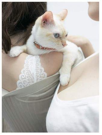 青山裕企《猫咪与欧派写真书》好想当那只猫~好想好想插图5 青山裕企《猫咪与欧派写真书》好想当那只猫~好想好想插图5