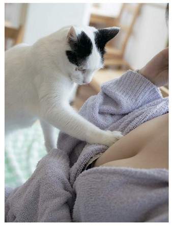 青山裕企《猫咪与欧派写真书》好想当那只猫~好想好想插图6 青山裕企《猫咪与欧派写真书》好想当那只猫~好想好想插图6