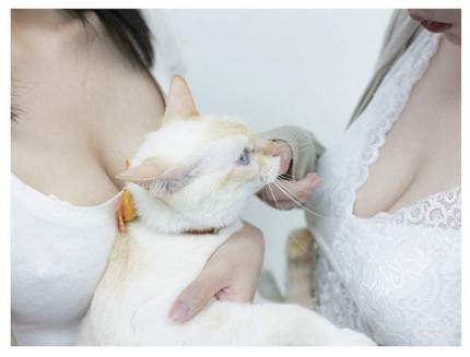 青山裕企《猫咪与欧派写真书》好想当那只猫~好想好想插图7 青山裕企《猫咪与欧派写真书》好想当那只猫~好想好想插图7