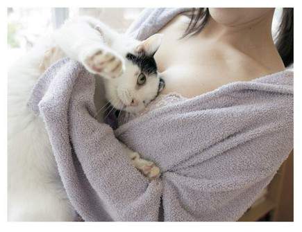 青山裕企《猫咪与欧派写真书》好想当那只猫~好想好想插图8 青山裕企《猫咪与欧派写真书》好想当那只猫~好想好想插图8