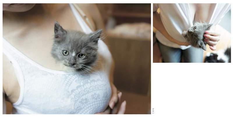 青山裕企《猫咪与欧派写真书》好想当那只猫~好想好想插图9 青山裕企《猫咪与欧派写真书》好想当那只猫~好想好想插图9