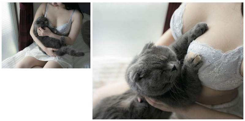 青山裕企《猫咪与欧派写真书》好想当那只猫~好想好想插图11 青山裕企《猫咪与欧派写真书》好想当那只猫~好想好想插图11