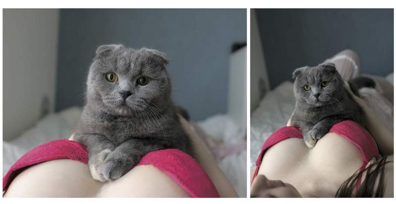 青山裕企《猫咪与欧派写真书》好想当那只猫~好想好想插图12 青山裕企《猫咪与欧派写真书》好想当那只猫~好想好想插图12