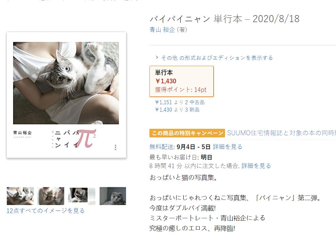 青山裕企《猫咪与欧派写真书》好想当那只猫~好想好想插图13 青山裕企《猫咪与欧派写真书》好想当那只猫~好想好想插图13