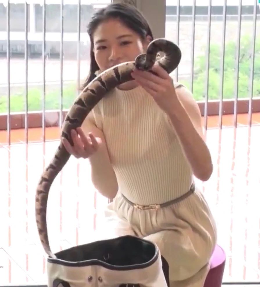 很正却没人敢追?《4位有特殊僻好的单身正妹》果然事出必有因啊…插图3 很正却没人敢追?《4位有特殊僻好的单身正妹》果然事出必有因啊…插图3