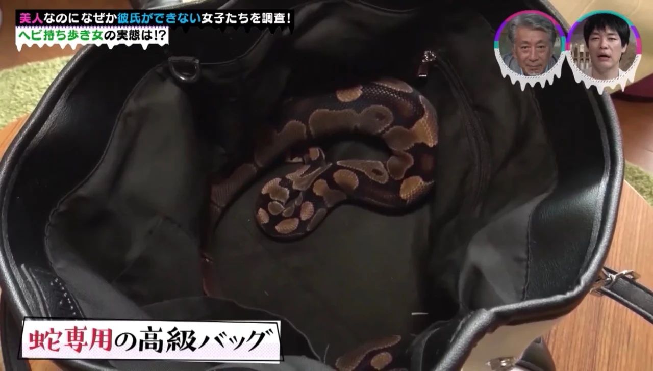 很正却没人敢追?《4位有特殊僻好的单身正妹》果然事出必有因啊…插图4 很正却没人敢追?《4位有特殊僻好的单身正妹》果然事出必有因啊…插图4