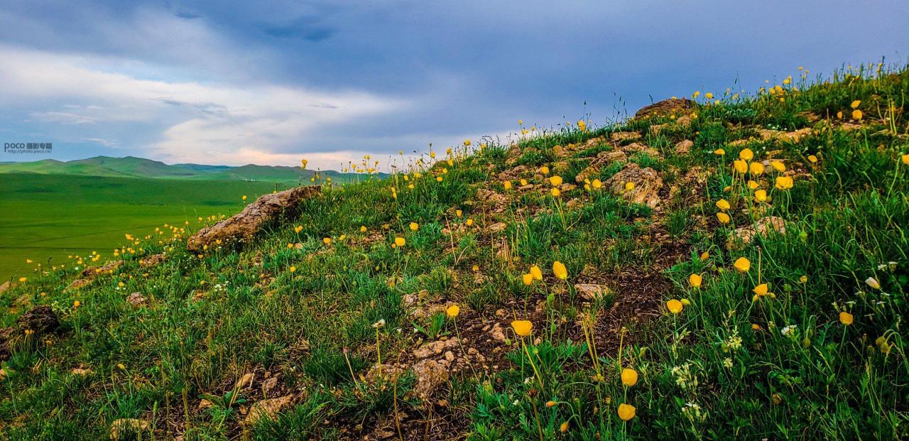 手机摄影掌握好这些构图和用光技巧插图13 手机摄影掌握好这些构图和用光技巧插图13