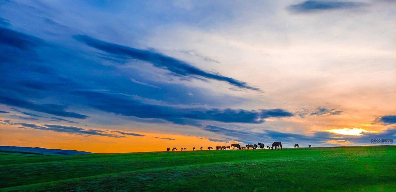 手机摄影掌握好这些构图和用光技巧插图18 手机摄影掌握好这些构图和用光技巧插图18