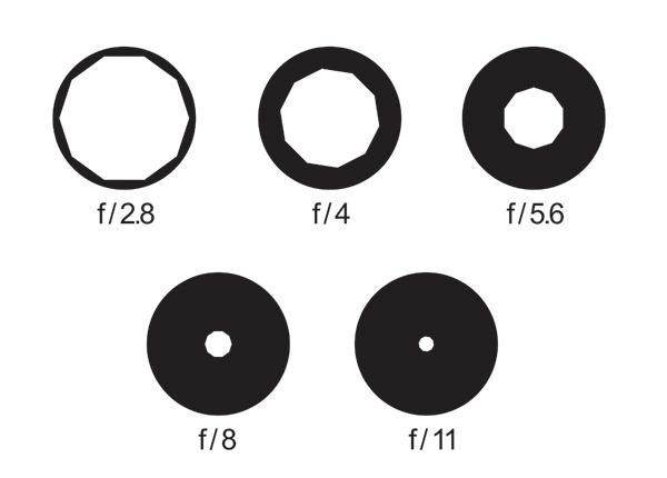 摄影入门基础讲座插图11 摄影入门基础讲座插图11