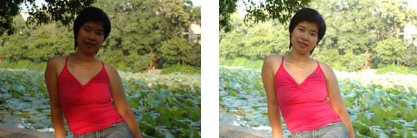 摄影入门基础讲座插图15 摄影入门基础讲座插图15