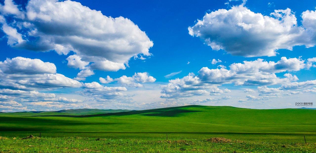 手机摄影掌握好这些构图和用光技巧插图1 手机摄影掌握好这些构图和用光技巧插图1