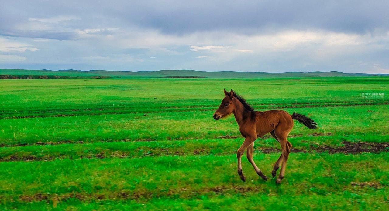 手机摄影掌握好这些构图和用光技巧插图5 手机摄影掌握好这些构图和用光技巧插图5