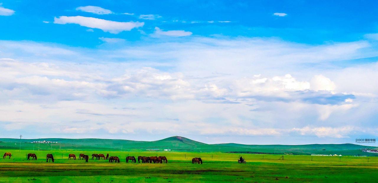 手机摄影掌握好这些构图和用光技巧插图8 手机摄影掌握好这些构图和用光技巧插图8
