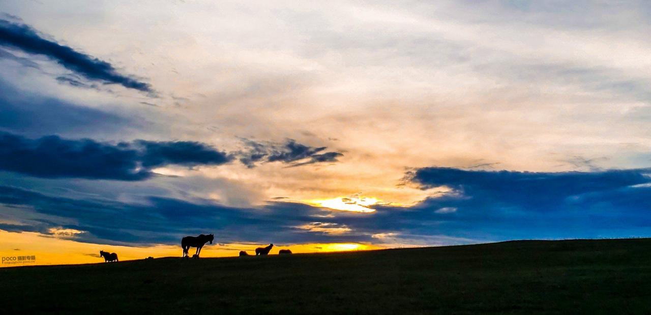 手机摄影掌握好这些构图和用光技巧插图10 手机摄影掌握好这些构图和用光技巧插图10