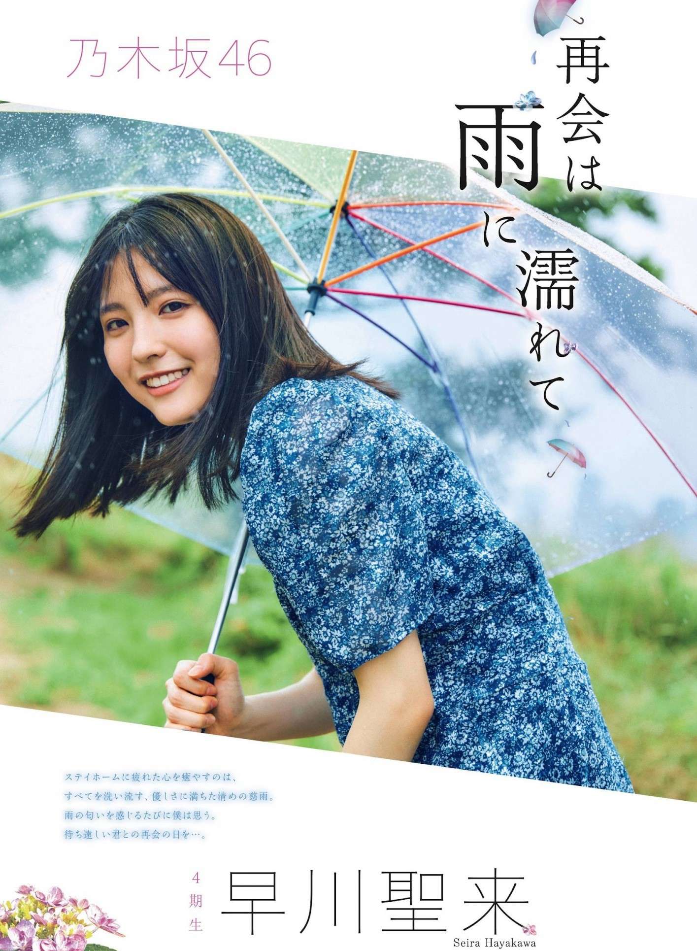 那条红线牵的是你吗?乃木坂46气质小公主「早川圣来」迷濛灿笑如天使般疗癒插图25 那条红线牵的是你吗?乃木坂46气质小公主「早川圣来」迷濛灿笑如天使般疗癒插图25