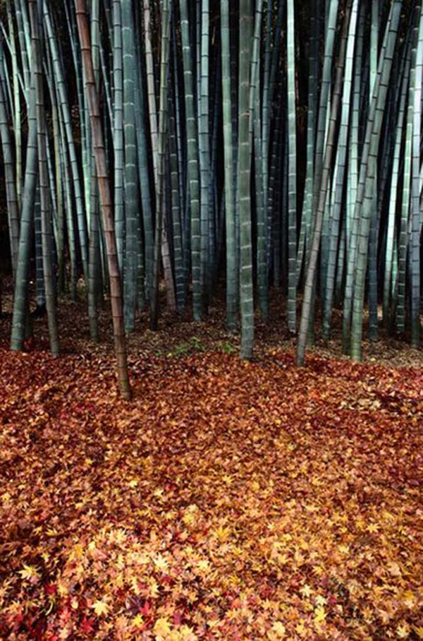 教你如何拍摄熟悉的场景插图4 教你如何拍摄熟悉的场景插图4