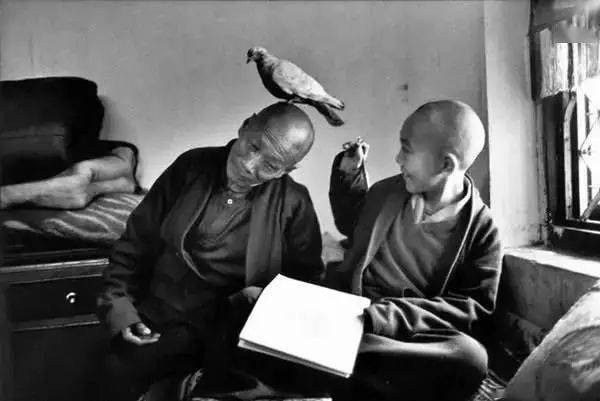 什么是好照片？16位摄影师论摄影插图11