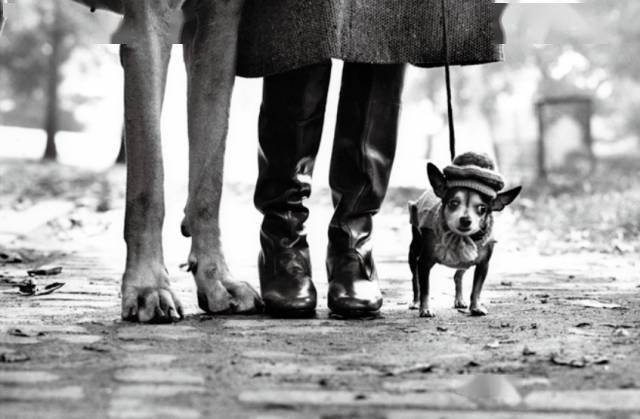 什么是好照片？16位摄影师论摄影插图8