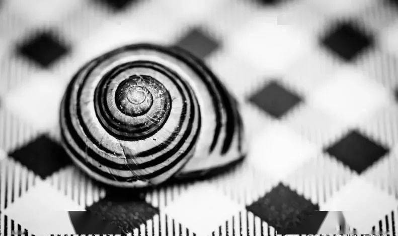 摄影要练摄影眼插图4 摄影要练摄影眼插图4