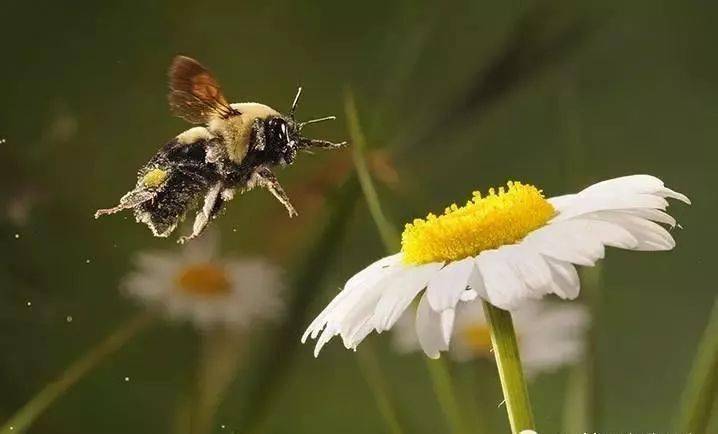 摄影要练摄影眼插图7 摄影要练摄影眼插图7