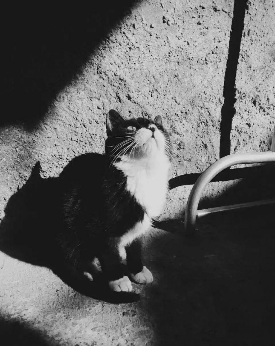 摄影要练摄影眼插图9 摄影要练摄影眼插图9