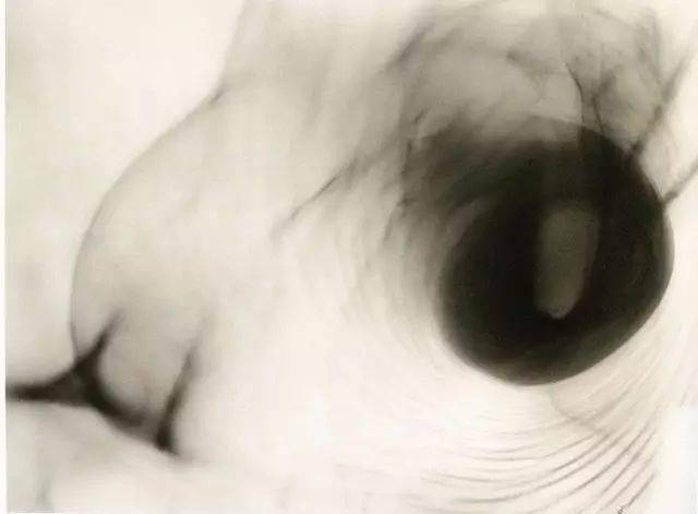 学摄影,你要了解摄影的趋势有5个表现方式插图3 学摄影,你要了解摄影的趋势有5个表现方式插图3