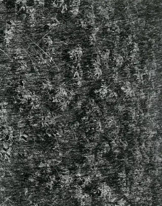 学摄影,你要了解摄影的趋势有5个表现方式插图4 学摄影,你要了解摄影的趋势有5个表现方式插图4