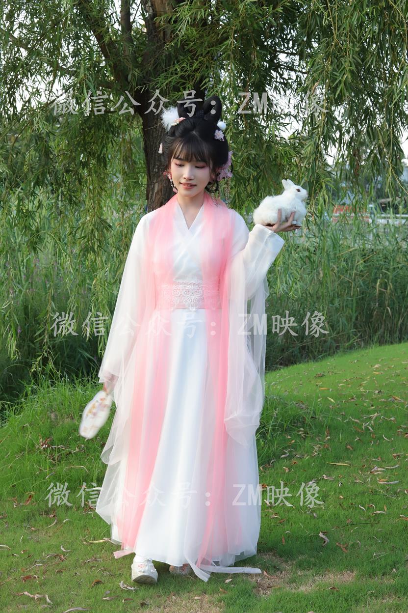 织梦翩若惊鸿-完整版 [300P/1V/7.86G]插图