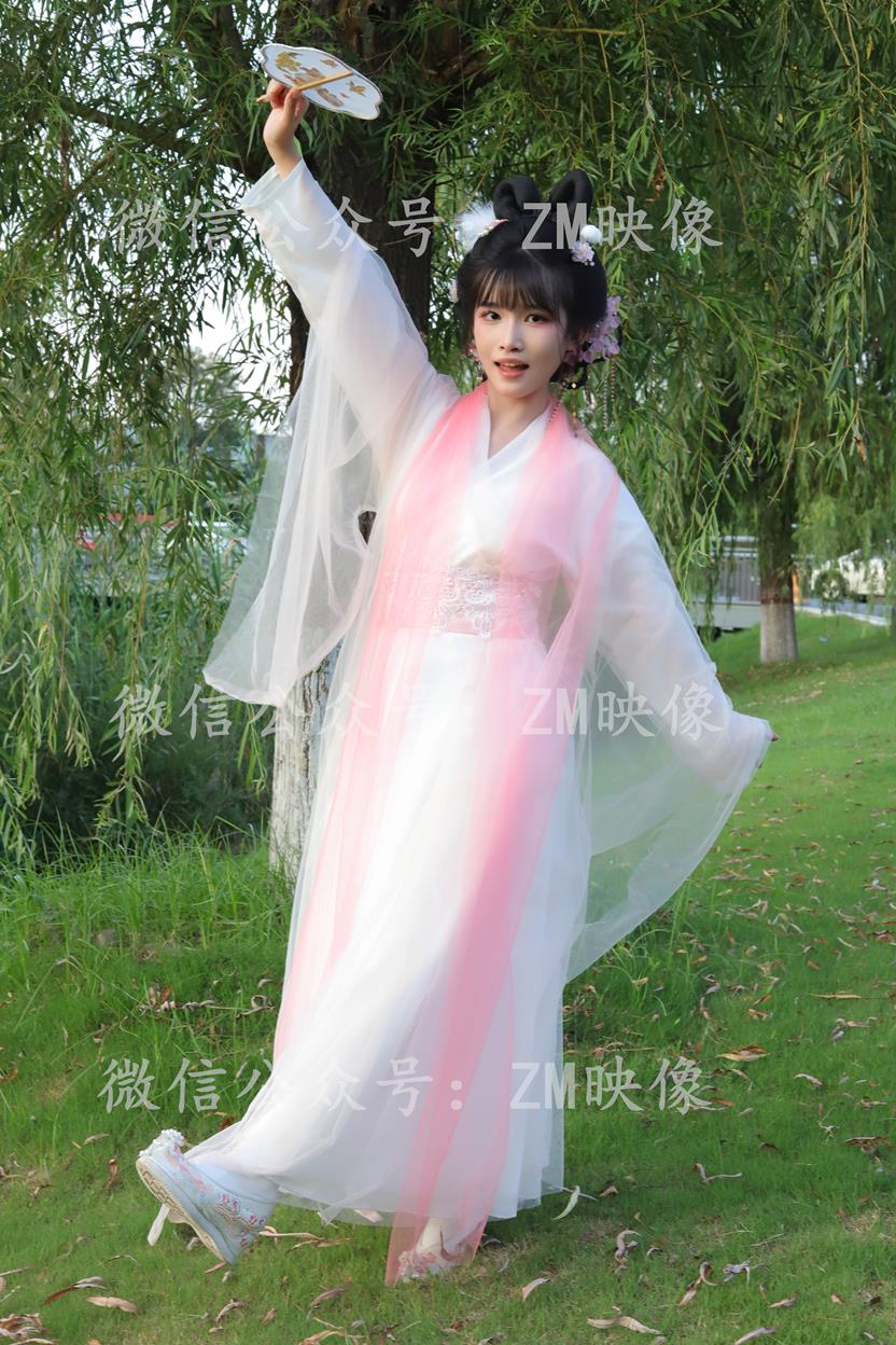 织梦翩若惊鸿-完整版 [300P/1V/7.86G]插图1