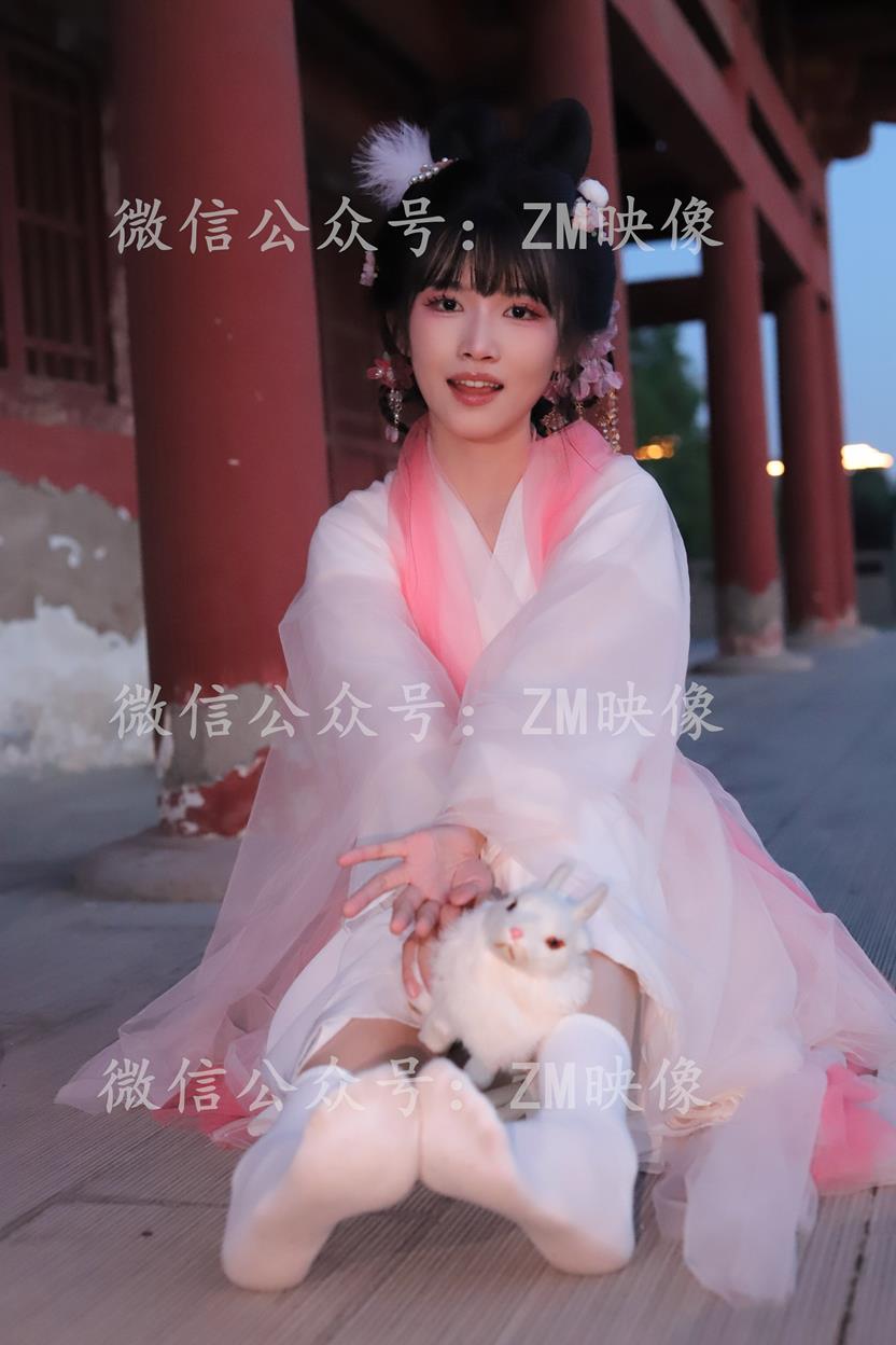 织梦翩若惊鸿-完整版 [300P/1V/7.86G]插图4