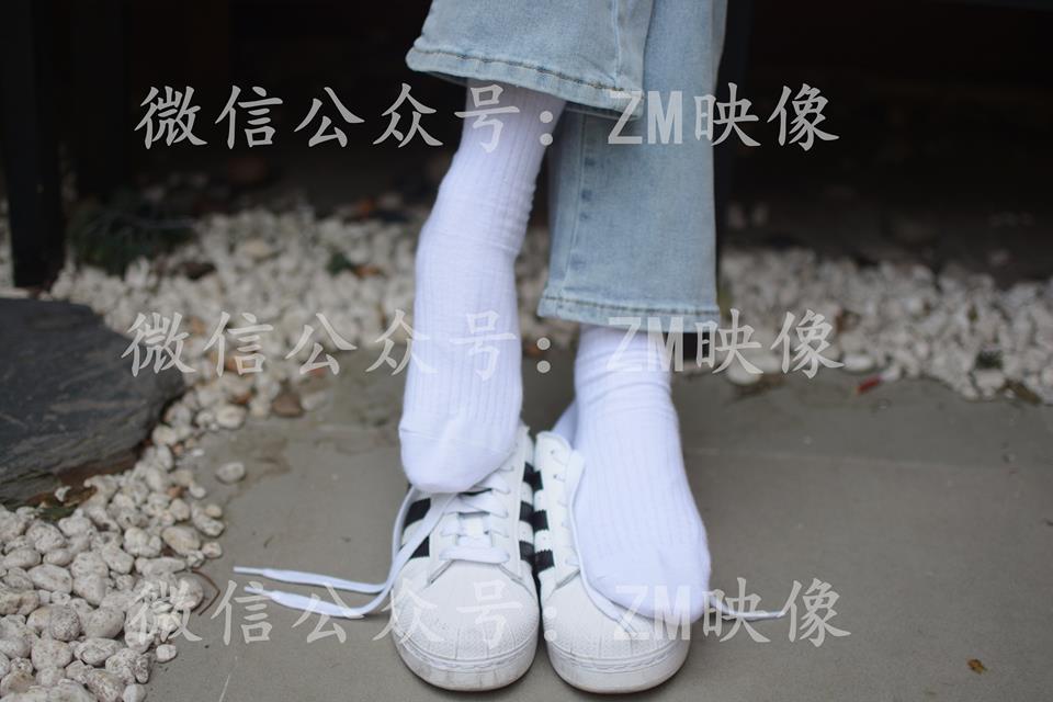 织梦映像-光明徽章完整版[278P/1V/7.03G]插图6