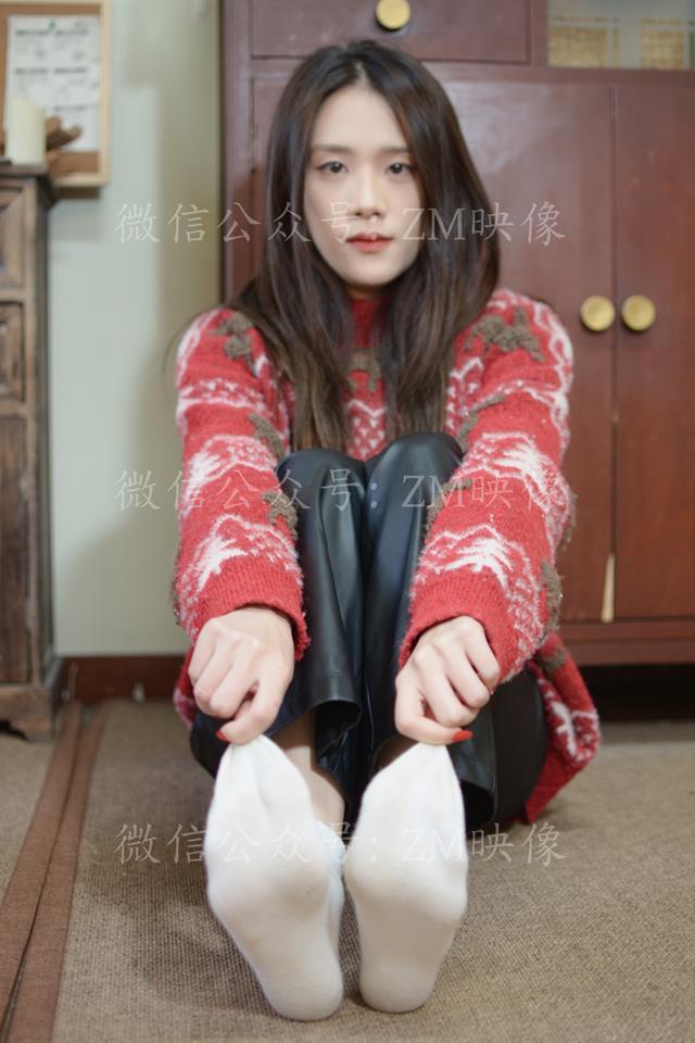 织梦圣诞麋鹿完整版[300P/1V/3.95G]插图1