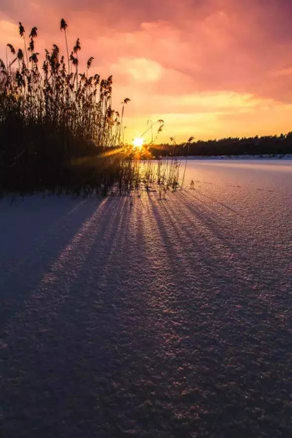 为什么说掌握光线,摄影就成功了一半插图2 为什么说掌握光线,摄影就成功了一半插图2