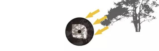 为什么说掌握光线,摄影就成功了一半插图22 为什么说掌握光线,摄影就成功了一半插图22