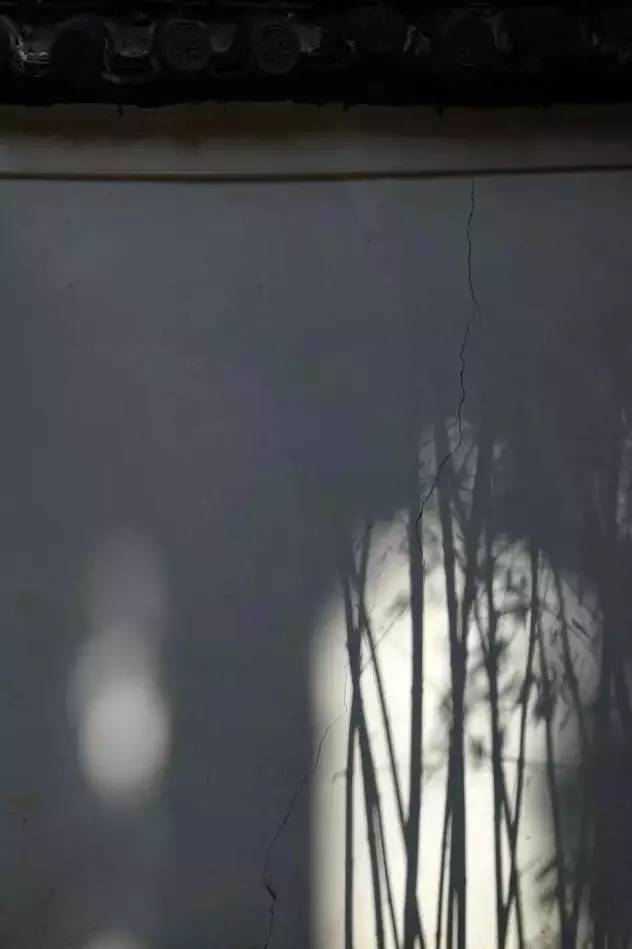 为什么说掌握光线,摄影就成功了一半插图25 为什么说掌握光线,摄影就成功了一半插图25