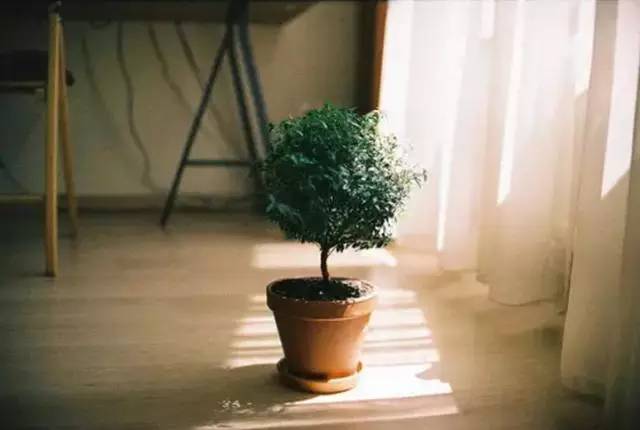 为什么说掌握光线,摄影就成功了一半插图8 为什么说掌握光线,摄影就成功了一半插图8