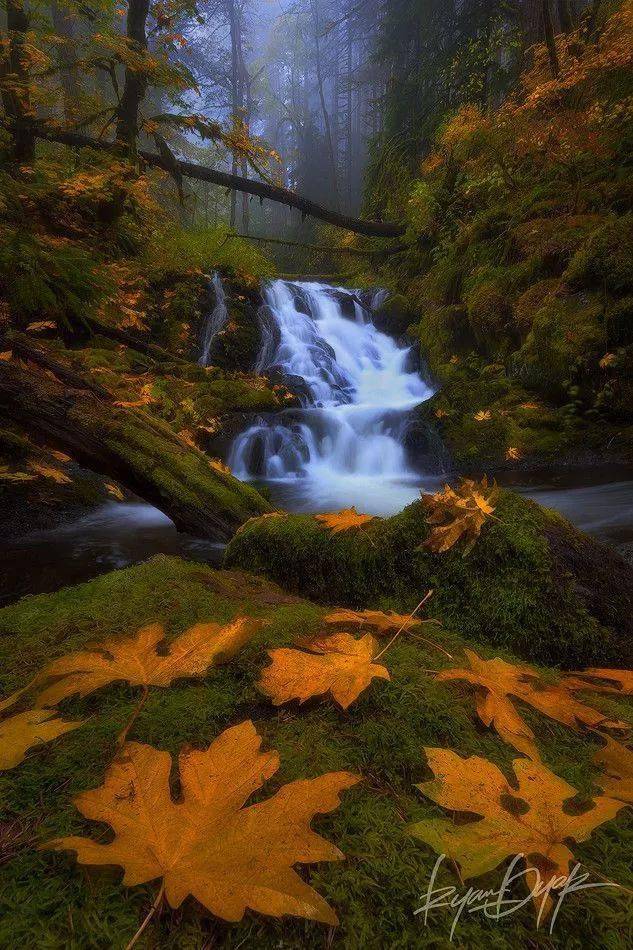 竖构图，视觉冲击力竟然可以这么大！插图9