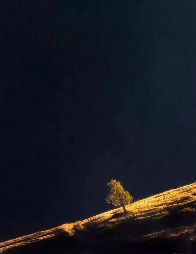 竖构图，视觉冲击力竟然可以这么大！插图8