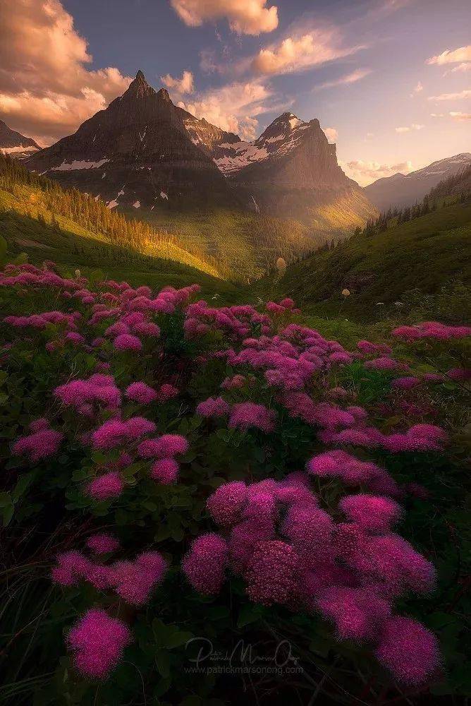 竖构图，视觉冲击力竟然可以这么大！插图7