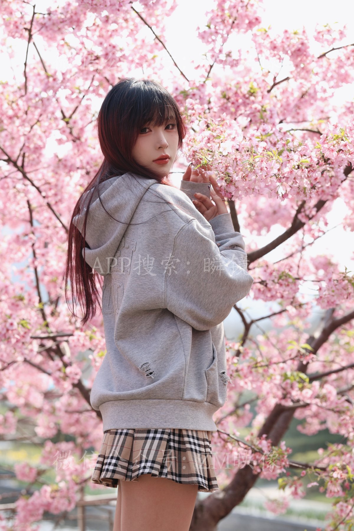 织梦映像 少女与樱-待到樱花烂漫时 完整版 [298P/1V/5.6G]插图