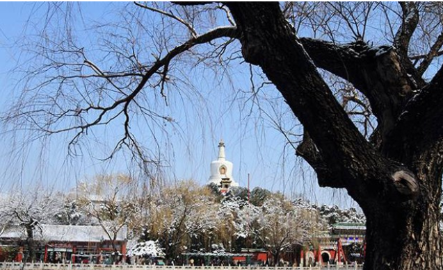 影技巧 如何使用曝光补偿与包围曝光插图2 影技巧 如何使用曝光补偿与包围曝光插图2