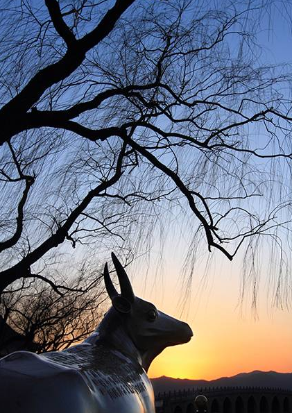 影技巧 如何使用曝光补偿与包围曝光插图6 影技巧 如何使用曝光补偿与包围曝光插图6