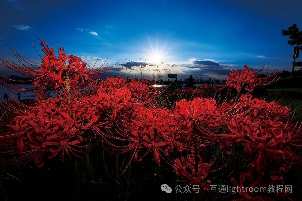 风光摄影没思路,值得尝试的5个技巧插图2 风光摄影没思路,值得尝试的5个技巧插图2