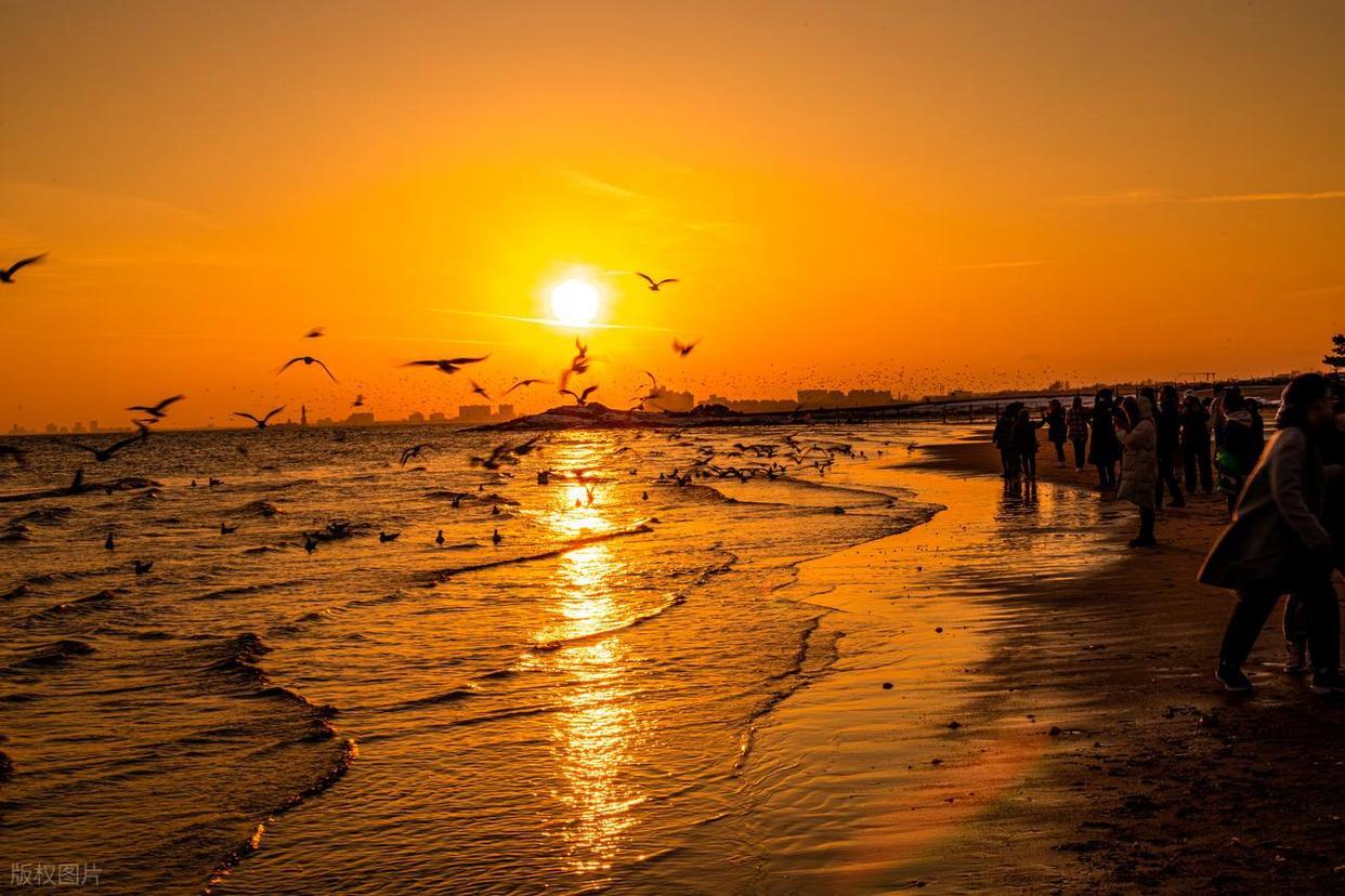 波光粼粼水面拍摄全攻略:从参数到氛围的核心技巧插图3 波光粼粼水面拍摄全攻略:从参数到氛围的核心技巧插图3