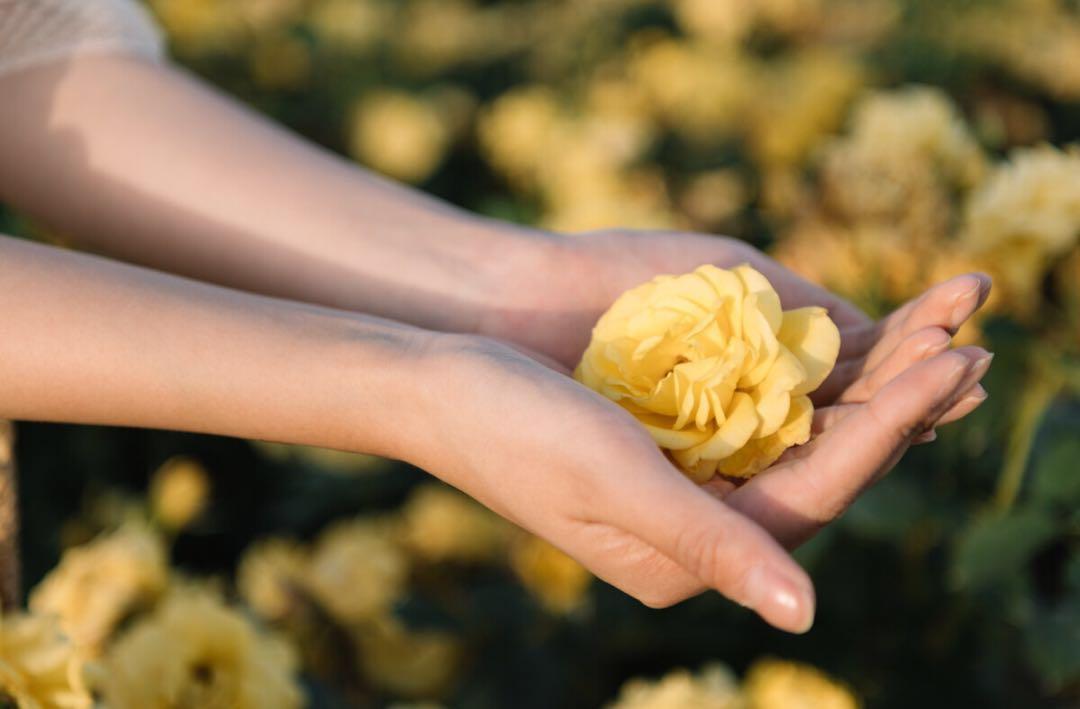 新手也能学会的7个拍照技巧,花海人像这样拍,拍出你的各种美插图3 新手也能学会的7个拍照技巧,花海人像这样拍,拍出你的各种美插图3